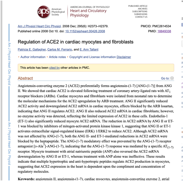 Regulation of ACE2 in Cardiac Myocytes and Fibroblasts