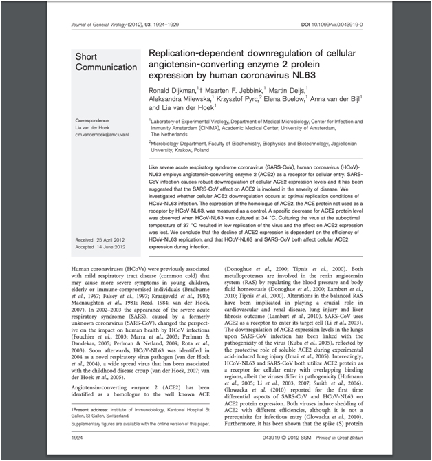 Replication-Dependent-Downregulation-of-Cellular-Angiotensin-Converting-Enzyme-2-Protein-Expression-by-Human-Coronavirus-NL63
